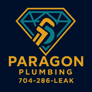 expert plumbing services and descale on tankless hot water heater to remove error code